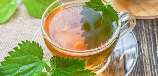 Nettle Hair Oil and Ayurveda