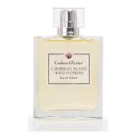 Pellentesque ultricies