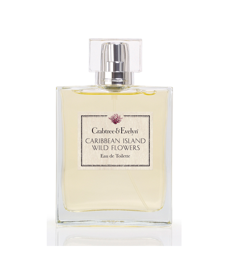 Pellentesque ultricies